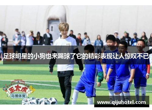 足球明星的小狗也来踢球了它的精彩表现让人惊叹不已